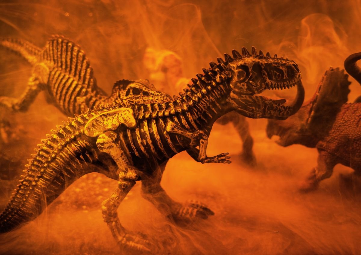 70-million-year-old dinosaur fossil